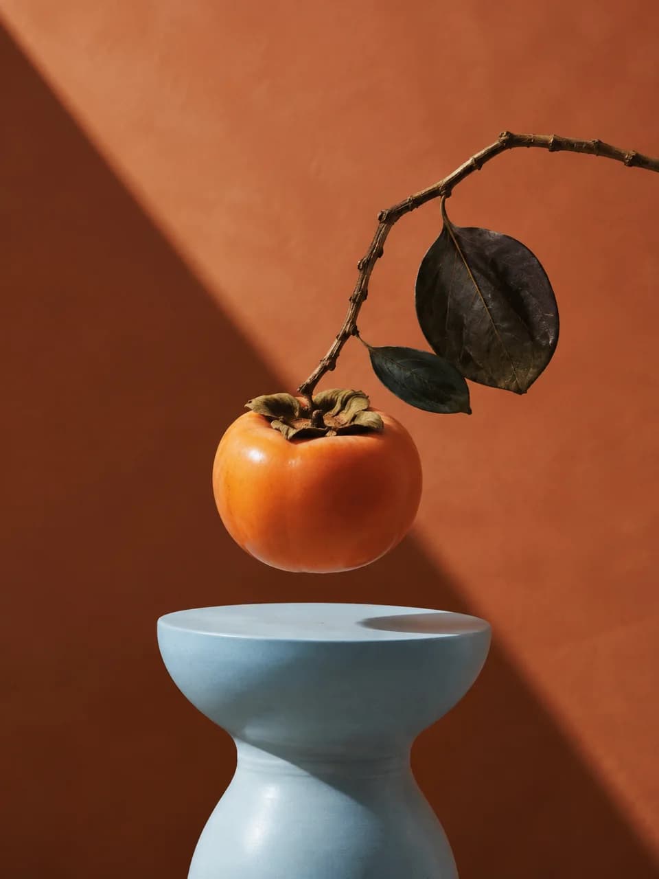 Persimmon suspended above a pale blue ceramic pedestal